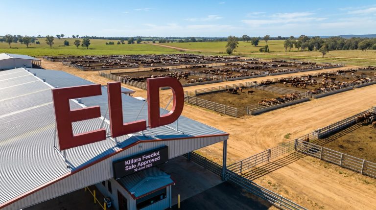 Elders Clears Final Hurdle to Exit Feedlot Business by June 30