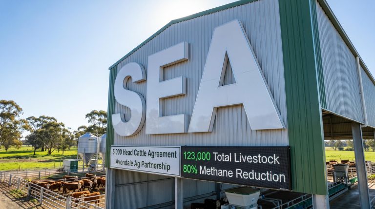 Sea Forest Locks in 5,000 Cattle Deal as Total Herd Under Contract Hits 123,000