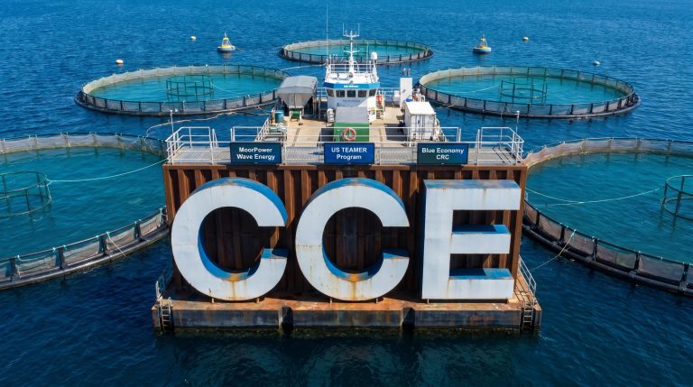 Carnegie Secures US$194K DOE Support for Wave Energy Aquaculture Integration